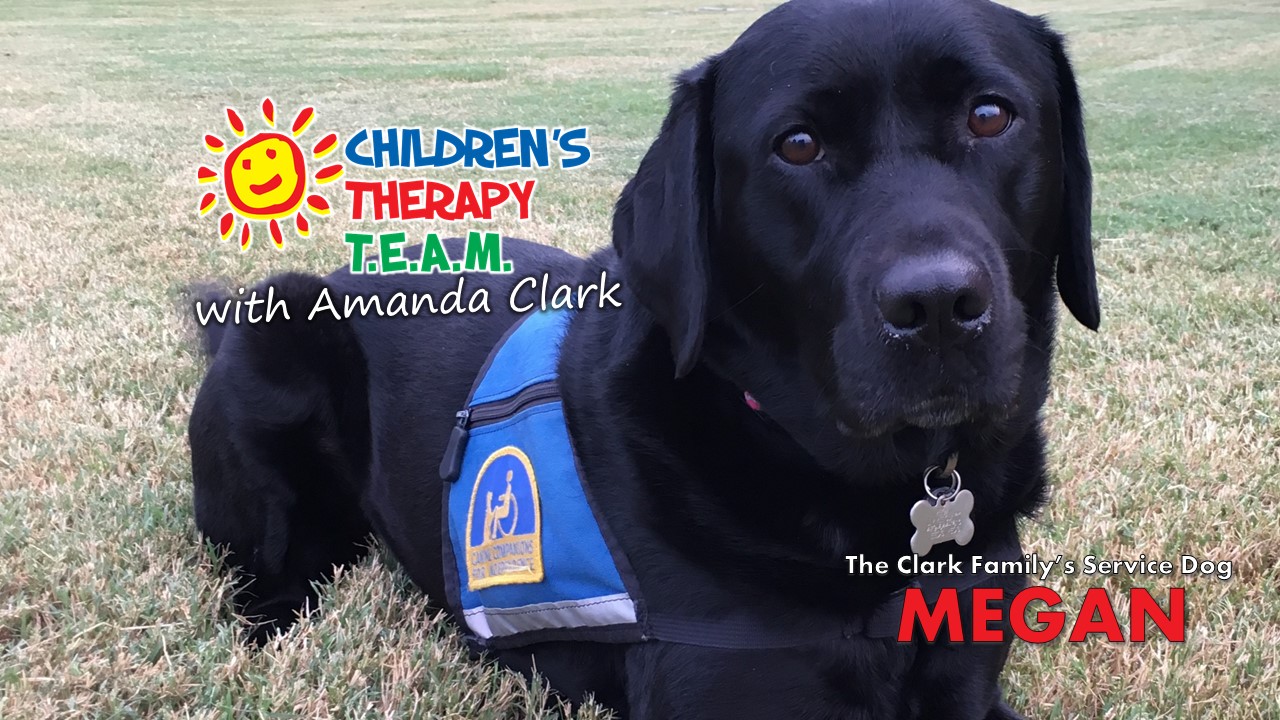 Amanda Clark: My Family’s Journey with a Service Dog