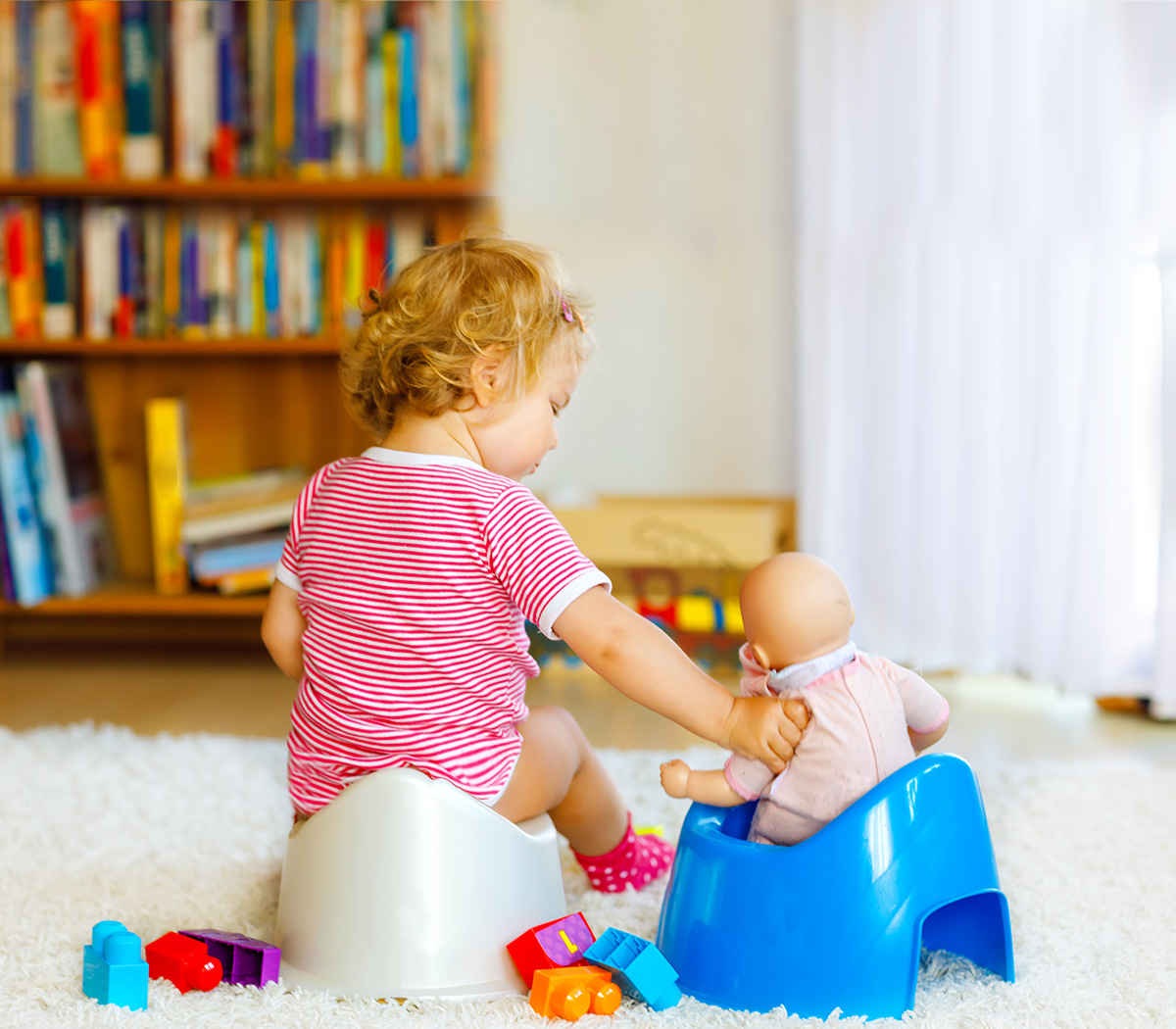 Potty Training 101